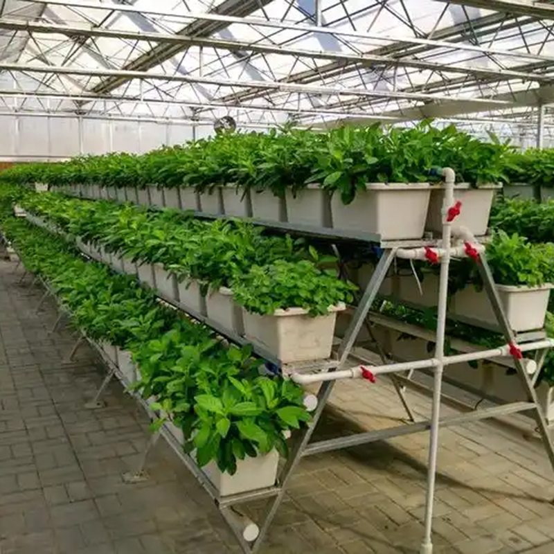 辽阳市植物工厂水培设备 - 推荐
